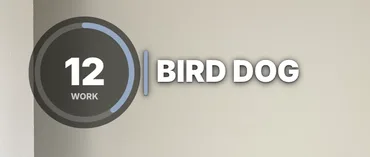 The exercise name BIRD DOG in the Bar style, beside the timer.