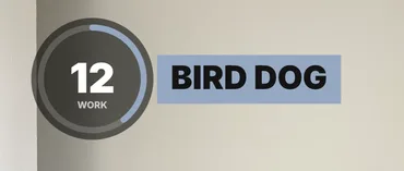 The exercise name BIRD DOG in the Solid style, beside the timer.