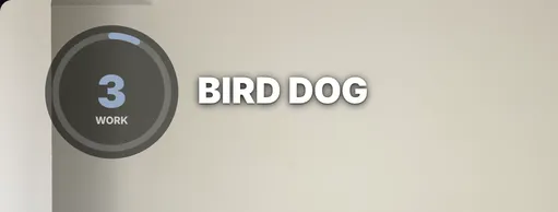 The Ring timer reading 3 in the brand colour, with WORK under the number and BIRD DOG beside it.