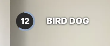 The timer in the Arc style at 12 seconds, beside BIRD DOG.