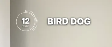 The timer in the Dial style at 12 seconds, beside BIRD DOG.