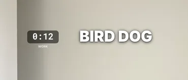 The timer in the Digital style at 12 seconds, beside BIRD DOG.