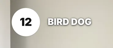 The timer in the Disc style at 12 seconds, beside BIRD DOG.