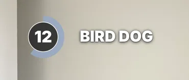 The timer in the Halo style at 12 seconds, beside BIRD DOG.