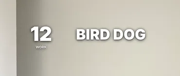 The timer in the Minimal style at 12 seconds, beside BIRD DOG.