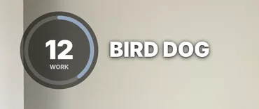 The timer in the Ring style at 12 seconds, beside BIRD DOG.