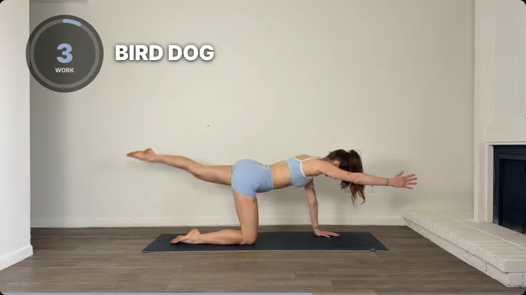 A finished workout video: a ring timer reading 3 in the brand colour at the top left, with the exercise name BIRD DOG beside it.